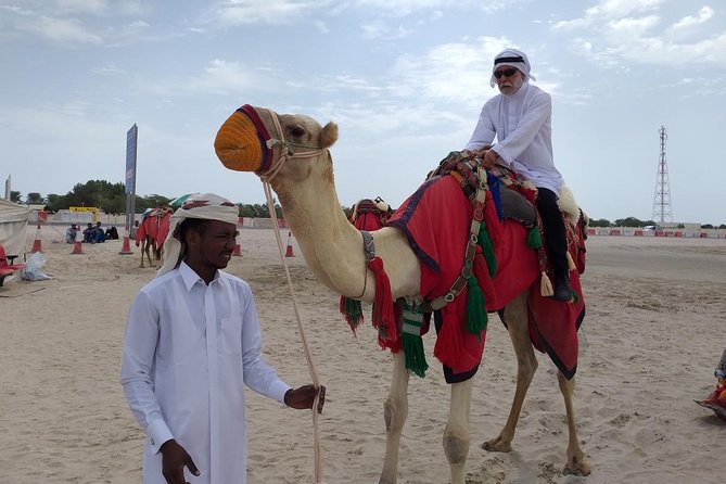 Qatar Gold Dune Safari, Dune Bashing,Camel Ride,Sand Boarding,Inland Sea Desert - Is $44.59 good value for four hours?
