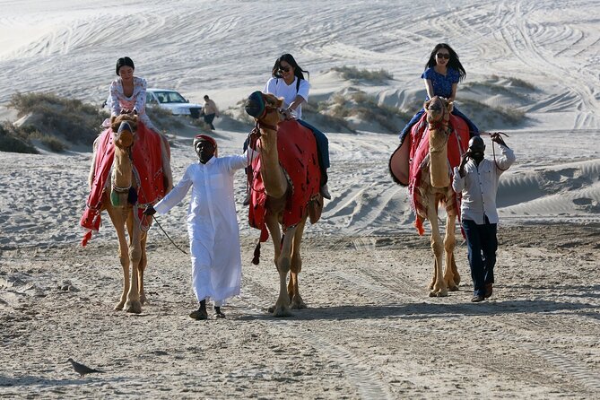 Qatar Half Day Desert Safari(Camel Rides & Sandboarding) - Is $140 a fair price?