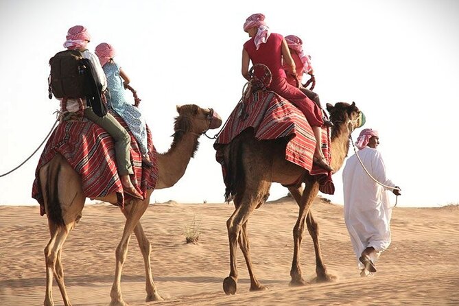 Qatar Sunset Desert Safari: Dune Bashing & Golden Sands Adventure - Dune bashing is the main event