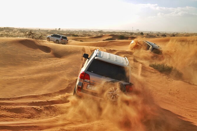 RAK Desert Safari and BBQ Dinner with RAK pick up - Key points before you book