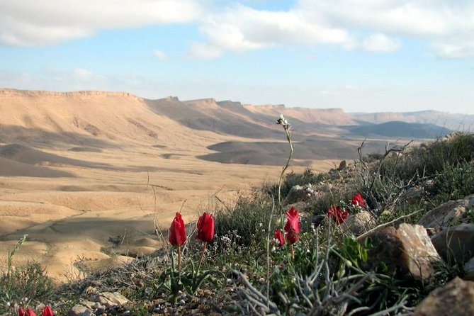 Ramon Crater Jeep Tour from Mitzpe Ramon - Wadi Zochalim and Wadi Gvanim