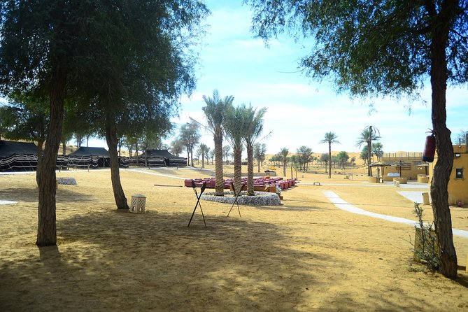 Ras Al Khaimah: Afternoon Desert Safari and BBQ Dinner - The 4WD dune drive and sunset viewpoint