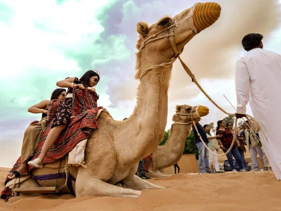 Ras Al Khaimah: Guided Quad Bike Tour - The longer desert program, from pickup to dinner