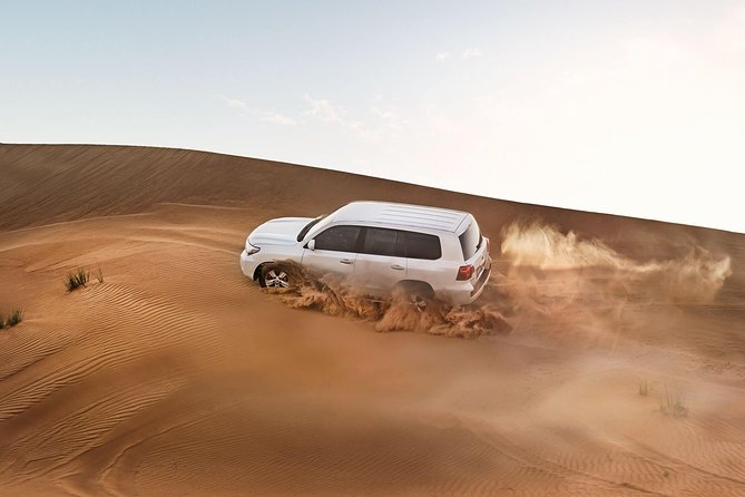Red Dune Desert Safari with BBQ Dinner, Sand Boarding Dance Shows - From Dubai pickup to the first red dune