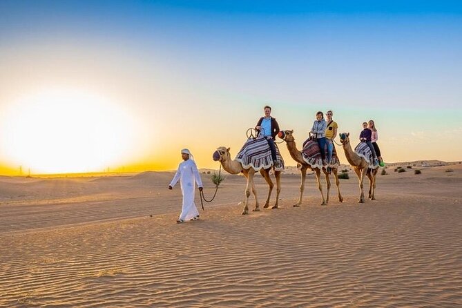 Red Dunes Desert Safari with 4x4 Pick up & Drop, Camel ride, BBQ and Live shows - BBQ dinner and live entertainment