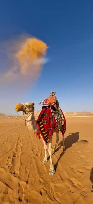 Riyadh: Desert Sand Dunes (VIT-Qude bike + Camel Ride) - Key points at a glance