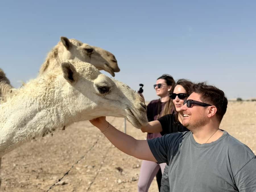 Riyadh: Edge Of The World, camels &Stargazing with 4x4 - FAQ