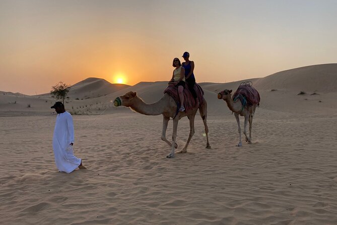 Safari Half-Day Adventure from Abu Dhabi - Is $62 good value for Abu Dhabi?