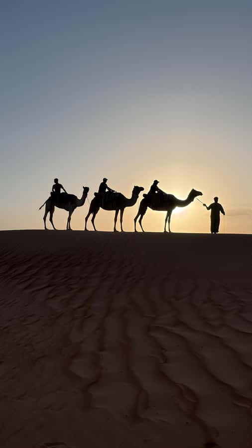 Safari World Zoo and Wahiba Sands with Sunset - From Muscat to Ibra, a long road with a useful first stop