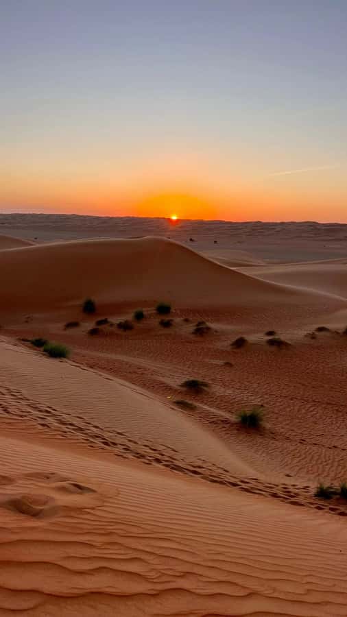 Safari World Zoo and Wahiba Sands with Sunset - Should you book Safari World Zoo and Wahiba Sands?