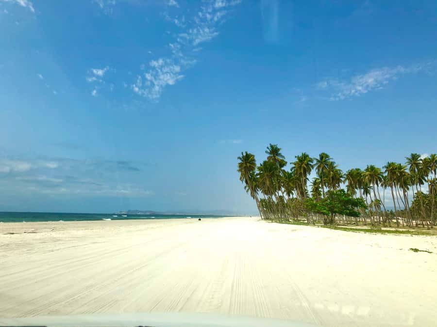 Salalah City Tour: Discover the Best of Oman’s Coastal Gem - Al Hosn Palace gates and a quick royal photo stop