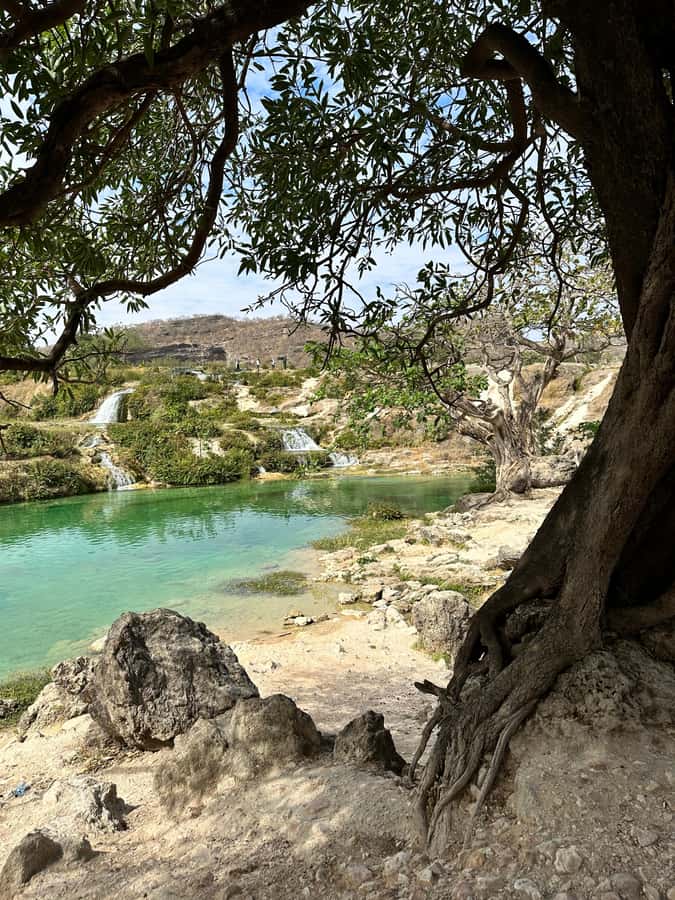 Salalah: Half-Day Guided Tour to Wadi Darbat & Mount Samhan - Taqah Beach starts the outing gently