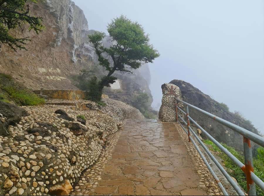 Salalah: Half-Day Guided Tour to Wadi Darbat & Mount Samhan - Timing is efficient, but not leisurely