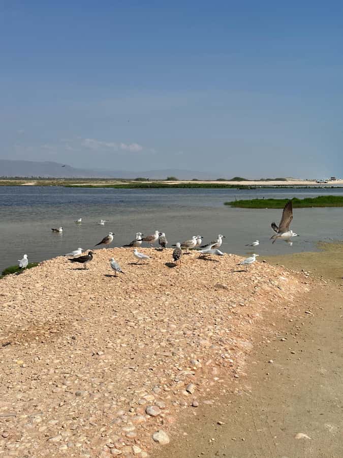Salalah: Wadi Derbat, Jabal Samhan, & Sinkhole Private Tour - Jabal Samhan and the wide view