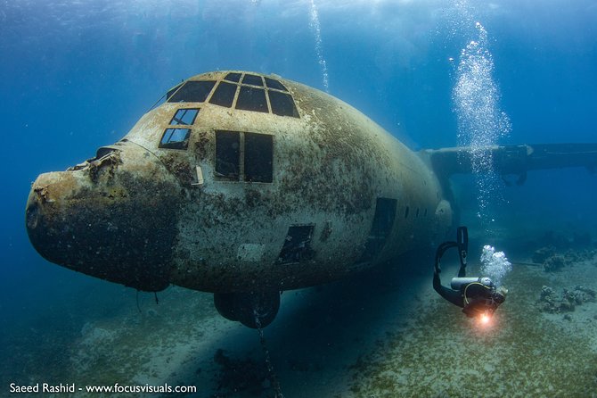Scuba Diving for Certified Divers - Key points for your Aqaba day