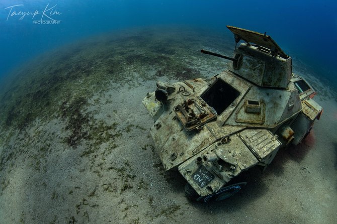 Scuba Diving for Certified Divers - The C-130 and the tank offer two very different sights