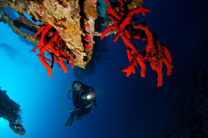 Scuba Diving for Certified Divers - Weather, cancellation, and the practical fine print