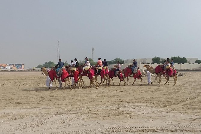 Sharing or Private Safari, Sand Boarding, Camel Ride, inland Sea Quick swim - The camel ride: short, traditional, and simple
