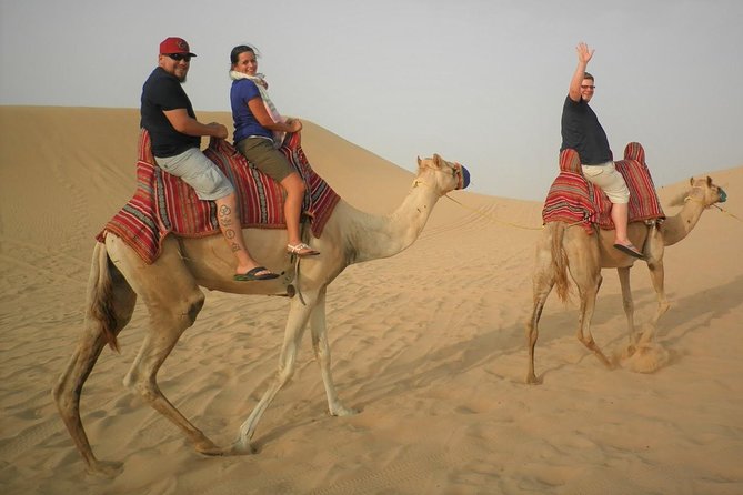 Sharing or Private Safari, Sand Boarding, Camel Ride, inland Sea Quick swim - Dune bashing across southern Qatar