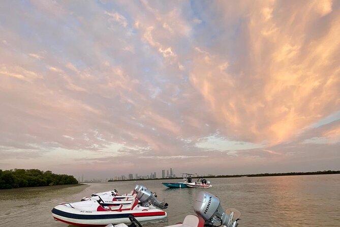 Small-Group Self-Drive Speedboat Tour in Yas Island Mangroves - Ferrari World and Yas Island from the water