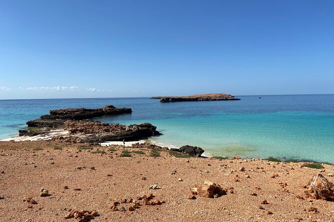 Snorkeling at Dimaniyat Islands and Dolphin Watching - What the guides add to the day