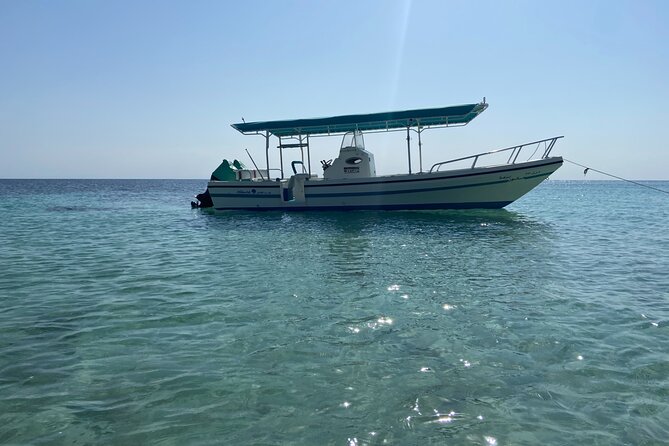 Snorkeling at Dimaniyat Islands and Dolphin Watching - Al Alam Palace adds a Muscat landmark