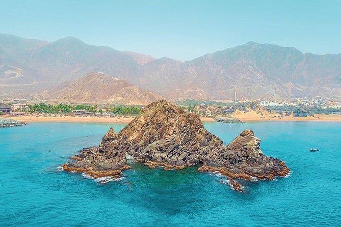 Snorkeling with turtles in Fujairah with BBQ lunch - Why the guide makes a difference