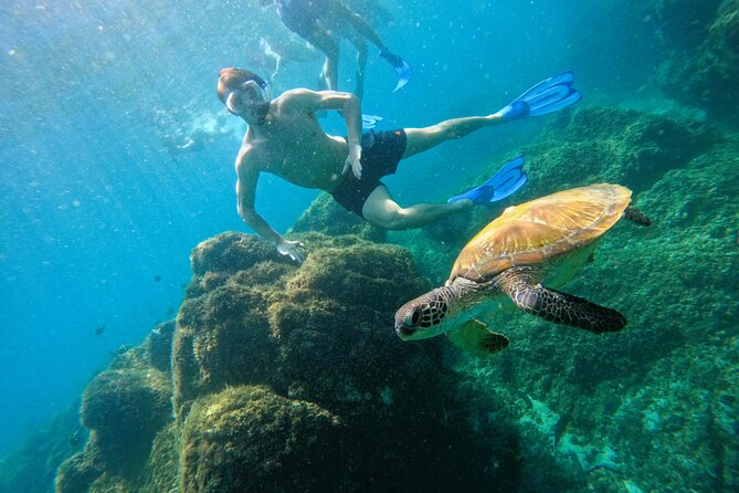 Snorkeling with turtles in Fujairah with Transfer & BBQ lunch - Getting ready for the water