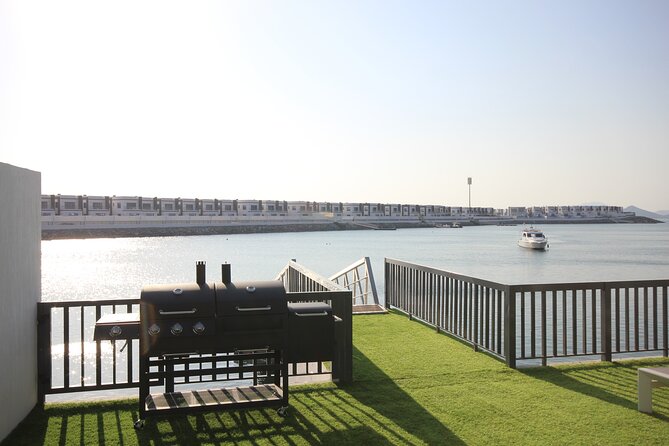 Snorkeling with turtles in Fujairah with Transfer & BBQ lunch - Lunch, drinks, and time on board