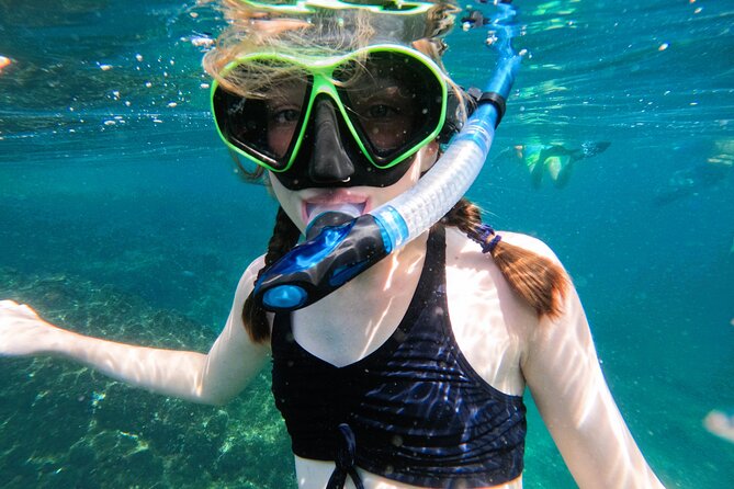 Snorkeling with turtles in Fujairah with Transfer & BBQ lunch - The guides and level of support