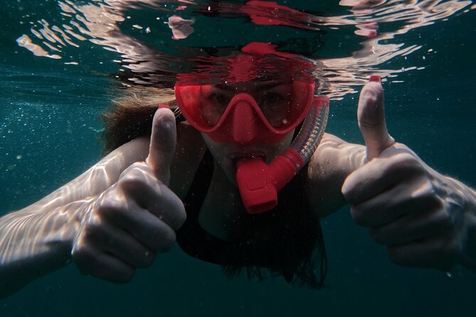 Snorkeling with turtles in Fujairah with Transfer & BBQ lunch - Who should book this Fujairah outing?