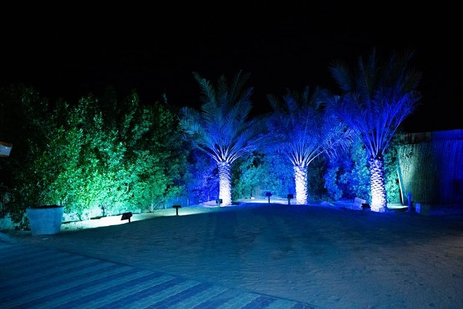 Standard Desert Safari, camel ride, BBQ Dinner, Belly Dance Show, Pick & Drop - Dune bashing on tall desert ridges