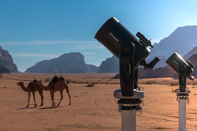 Stargazing Adventure in Jordan - Why Wadi Rum works so well after dark