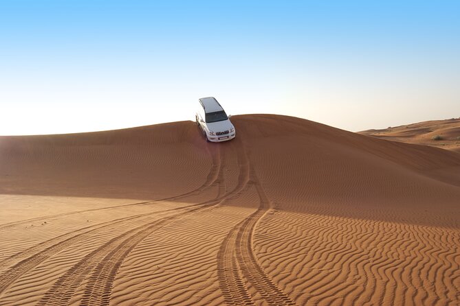 Sunrise Desert Safari from Abu Dhabi - Camel riding: a brief taste of desert travel