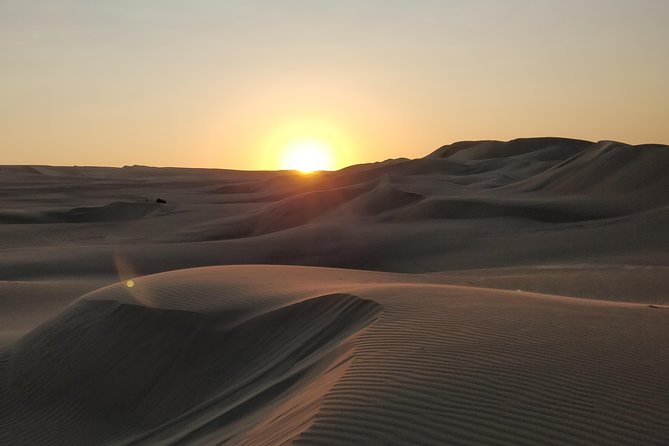 Sunrise Desert Safari in Qatar: An Unforgettable Adventure - Dune bashing across the golden sand
