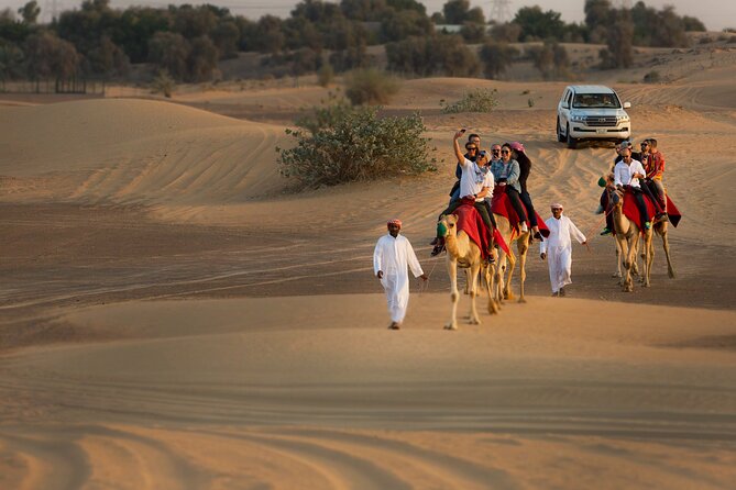 Sunset Camel Trekking with Falcon Show & VIP BBQ Dinner - What the 45-minute camel ride is really like