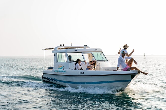 Sunset Corniche Cruise - 2 hours trip - A calm start from Al Bateen Marina