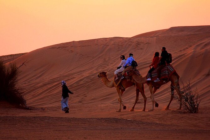 Sunset Evening Safari,Camel ride,live shows and BBQ Dinner with No Hidden Charge - Why this $27 safari offers so much