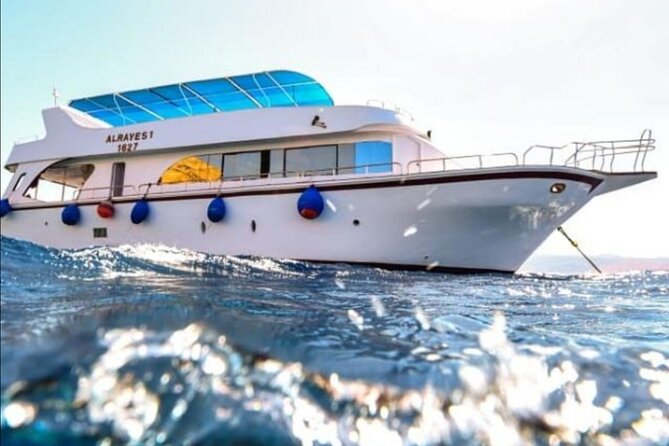 Take advantage of a half-day boat dive experience in Red sea of Aqaba. - Meeting Aqaba Leaders at 9:00 am
