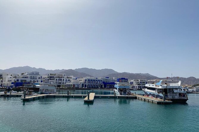 Take advantage of a half-day boat dive experience in Red sea of Aqaba. - Your one-tank scuba session