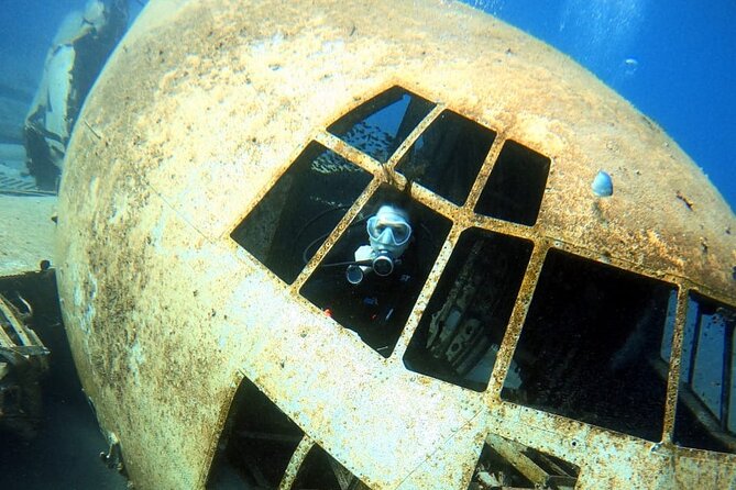 Take advantage of a half-day boat dive experience in Red sea of Aqaba. - Lunch, drinks, and time between water activities