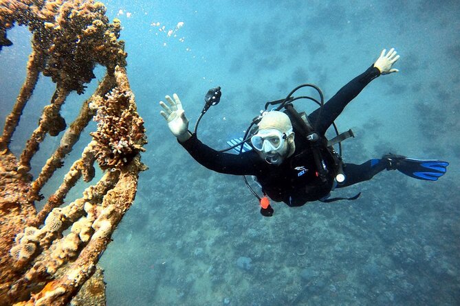 Take advantage of a half-day boat dive experience in Red sea of Aqaba. - Photos and video without carrying a camera