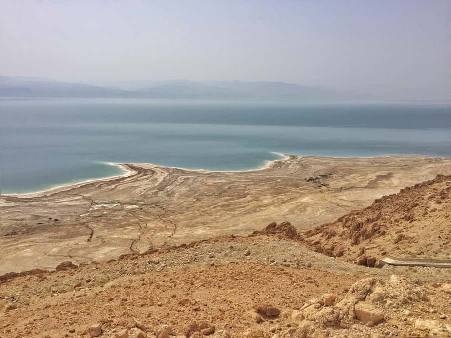 Tel Aviv: Bethlehem, Jericho, and Jordan River Day Tour - The olive wood stop and the question of value