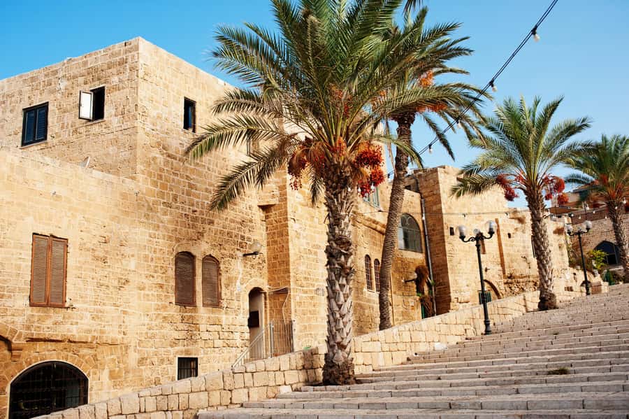 Tel Aviv: Jaffa Half-Day Walking Tour - What the $49 price gets you