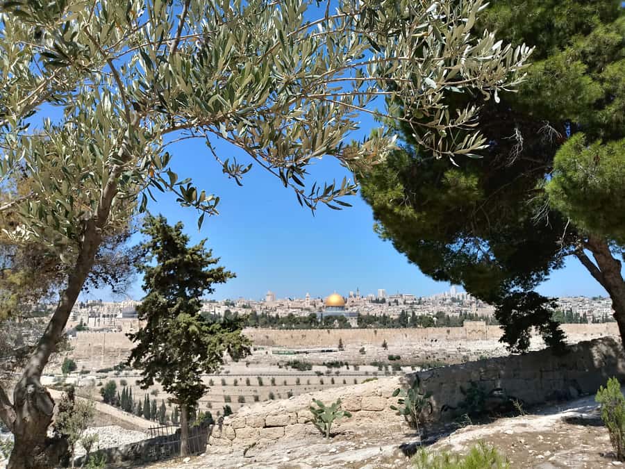 Tel Aviv: Jerusalem, Bethlehem & Dead Sea - Guides make the biggest difference