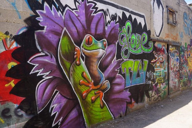 Tel Aviv Street Art & Graffiti Tour - Why Tel Aviv’s graffiti deserves a closer look