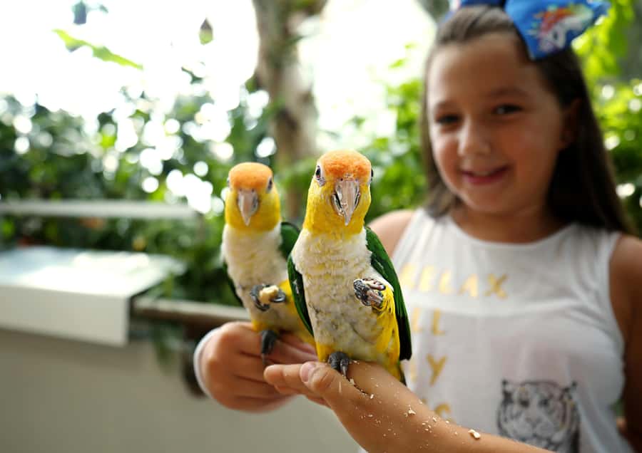 The Green Planet - Dubai's Unique Indoor Rainforest - What the staff add to the experience