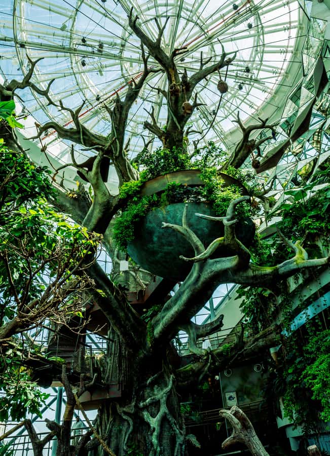 The Green Planet - Dubai's Unique Indoor Rainforest - A practical visit from arrival to exit