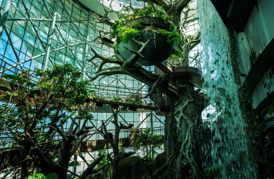 The Green Planet - Dubai's Unique Indoor Rainforest - Who will get the most from this visit?