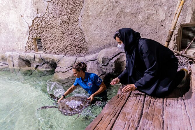 The National Aquarium Abu Dhabi Admission Tickets - What makes this more than a tank-by-tank visit